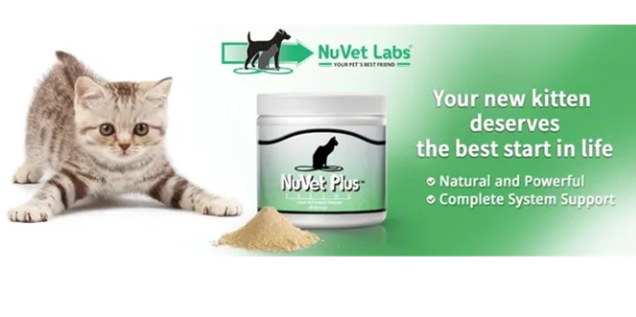 kitten vitamins