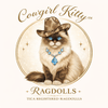 Cowgirl Kitty Ragdolls