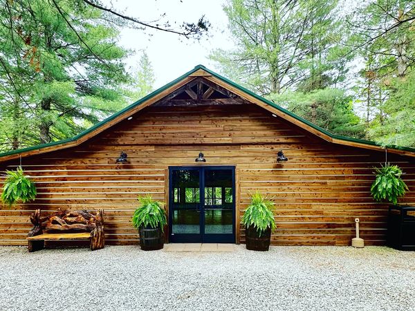 Rustic wooden cabin entrance surrounded by greenery and hanging plants.