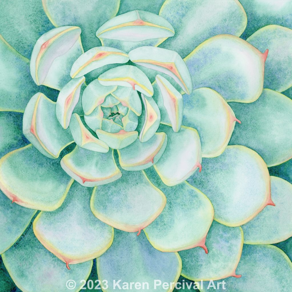 A watercolor painting of a succulent in soft shades of green and blue and touches of yellow and red.