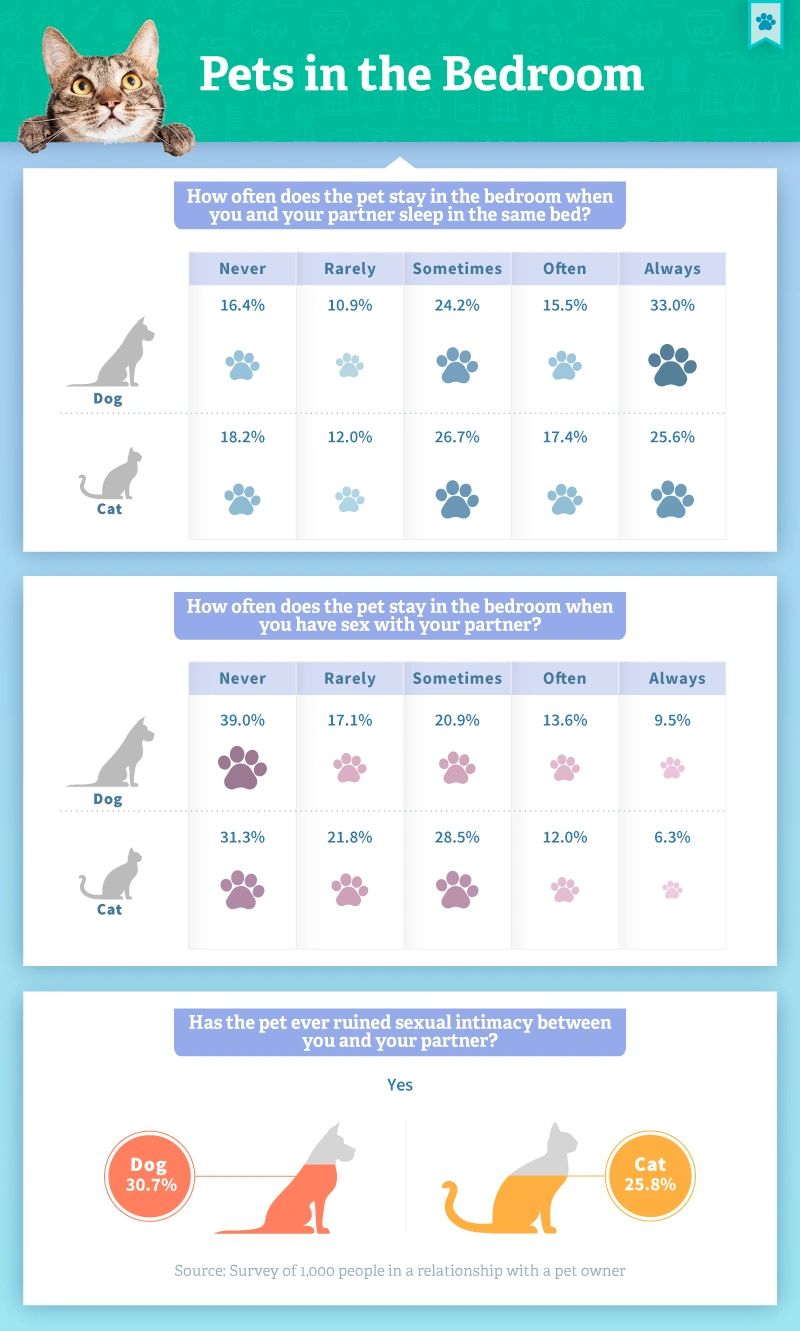 Healthy competition with your Partners pet: dog games