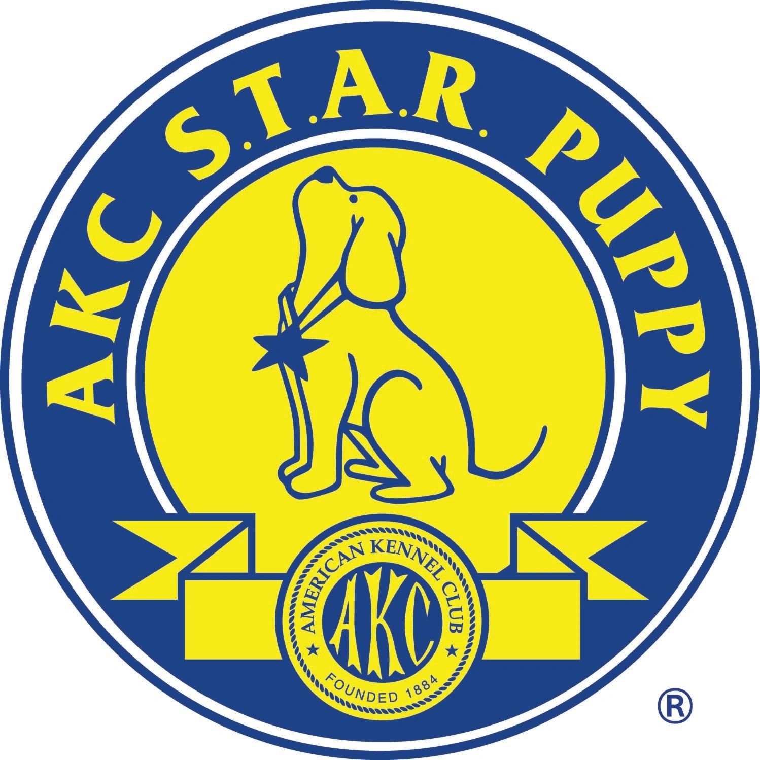 AKC S.T.A.R. Puppy logo
