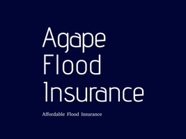 Affordable Flood Earthquake and Life Insurance