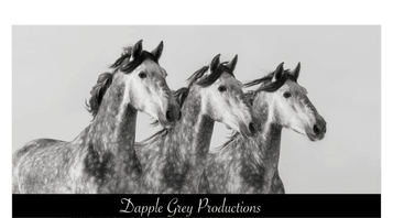 Dapple Grey Productions
