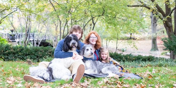 Goldendoodle Breeder with lives filled with joy family and children