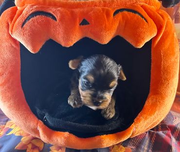 Stormie and Reagan’s baby boy