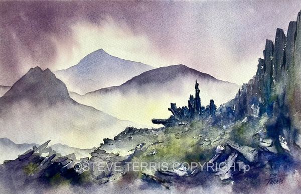 Steve Terris Art