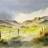 Steve Terris Art