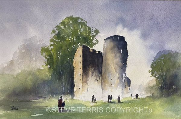 Steve Terris Art