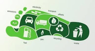 Scott Restoration Services LLC reduces carbon footprint with Repair & Return program. 