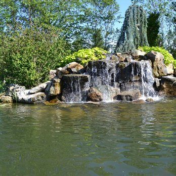 Boulder waterfall spilling into a planted backyard pond