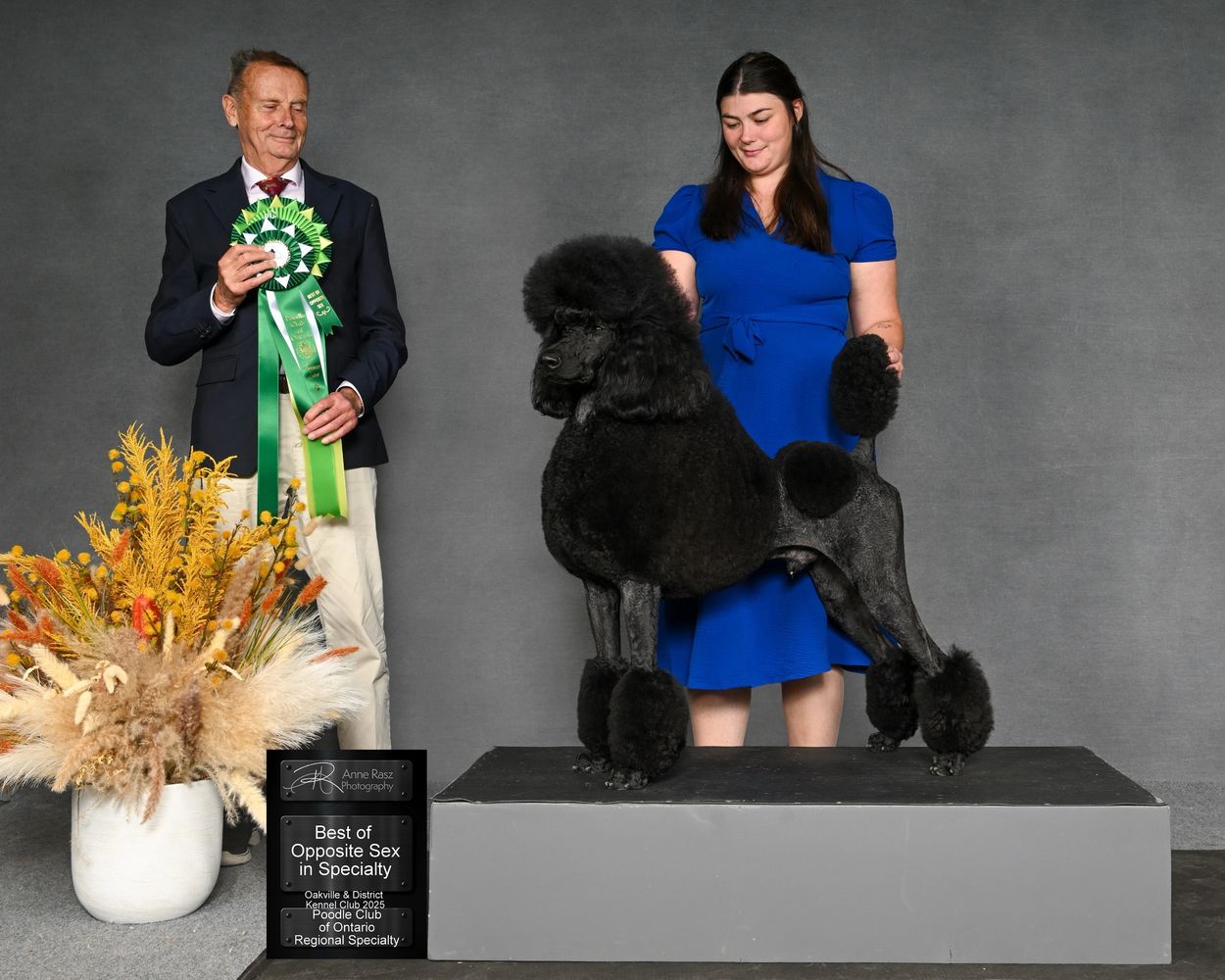 Woman and man posing with a black poodle at a dog show with award ribbons.