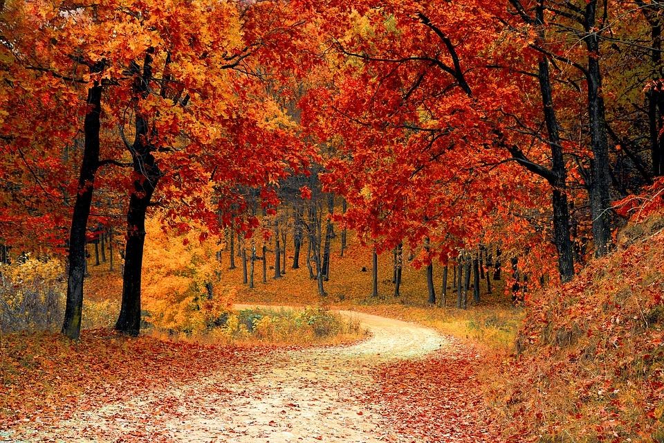 Red Oak Advisors, LLC