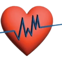 Vital Wellness of Montana