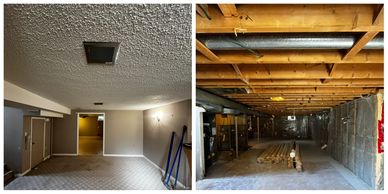Full gut basement development