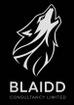 Blaidd Consultancy