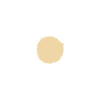 
LITTLE BLOOMS SPEECH THERAPY
