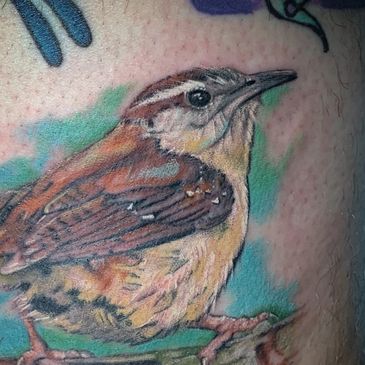 Jerry’S WREN 