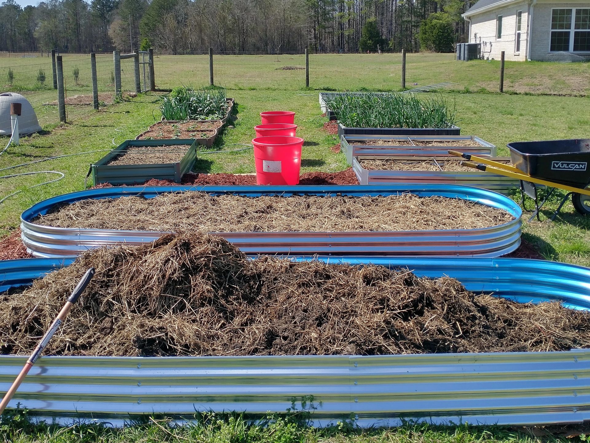 Homestead raised bed garden 