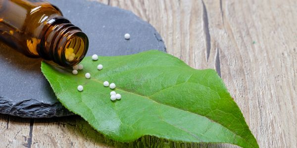 Globulis liegen auf einem grünen Blatt 