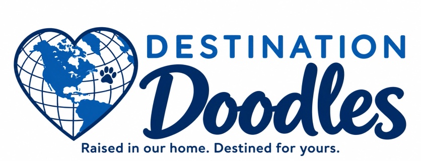 DestinatDoodlesion 