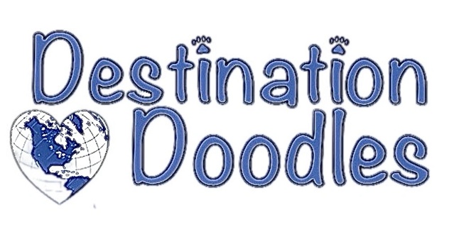 DestinatDoodlesion 