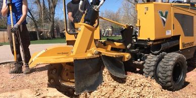 We grind Stumps throughly the first time making sure to remove the entire root ball.  