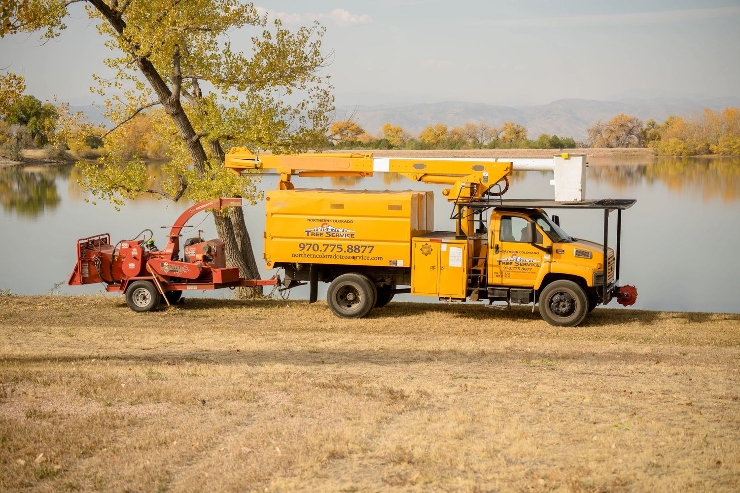 Northern Colorado Tree Service