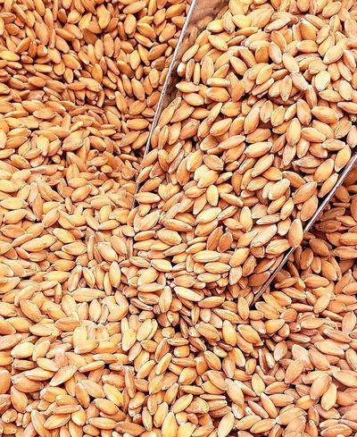 Einkorn wheat berries