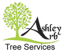 Ashley Arb Tree Services
