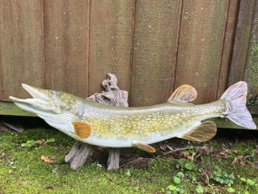 Mounted fish displayed outdoors against a wooden fence.