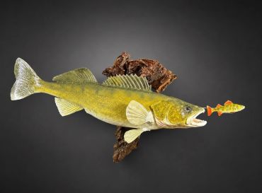 Mounted fish with a lure in its mouth.