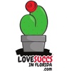 lovesuccsinflorida