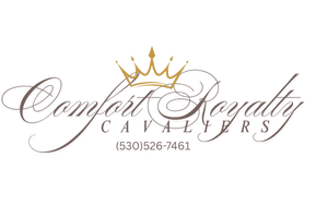 Comfort Royalty Cavaliers 
Mesa Arizona