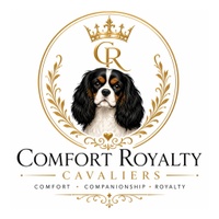 Comfort Royalty Cavaliers 
Mesa Arizona