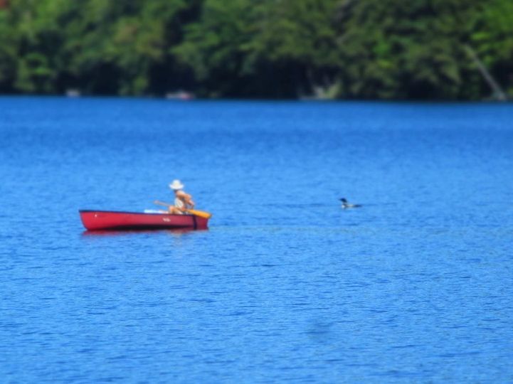 Canoeing in Maine with the locals (loons)
