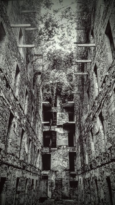 Black and white photograph of Bodmin Jail with plant coverage in the gap between buildings