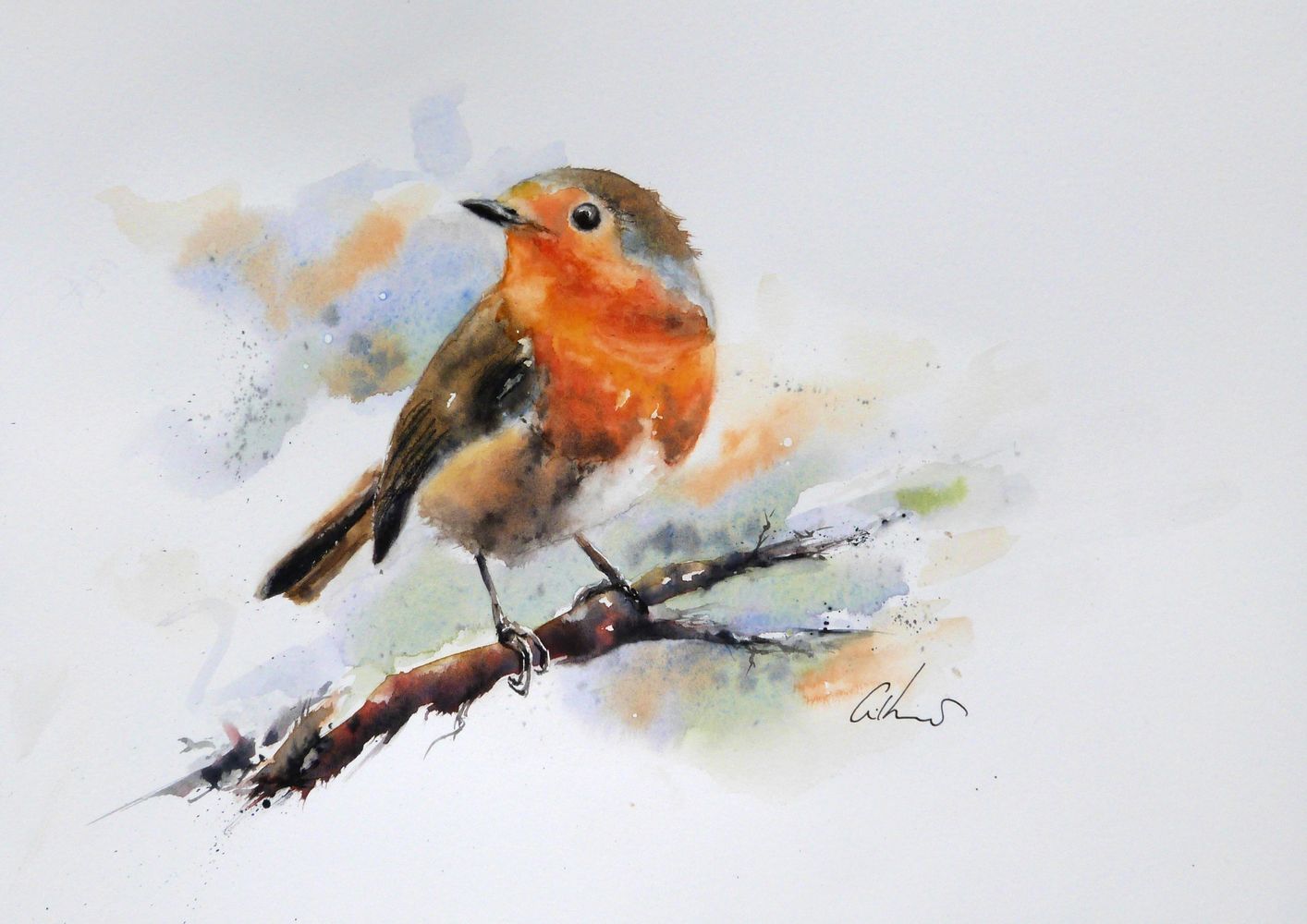 Robin, watercolour by Graham Kemp.