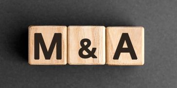 LMS Strategies M&A Advisory