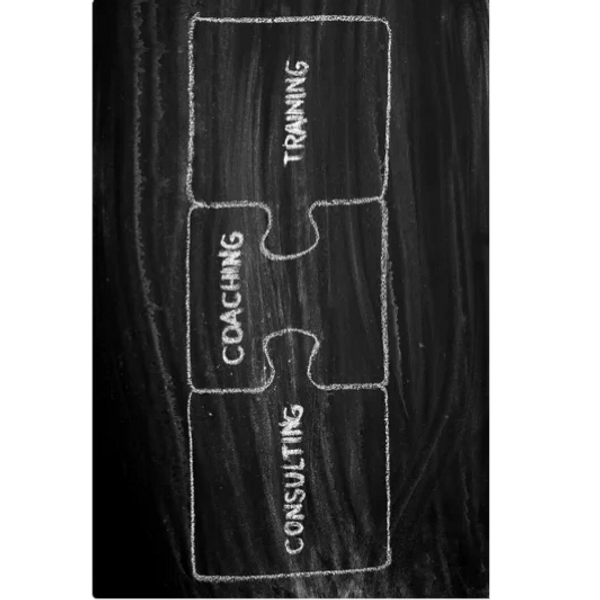 LMS Strategies Leadership Coaching Puzzle Image