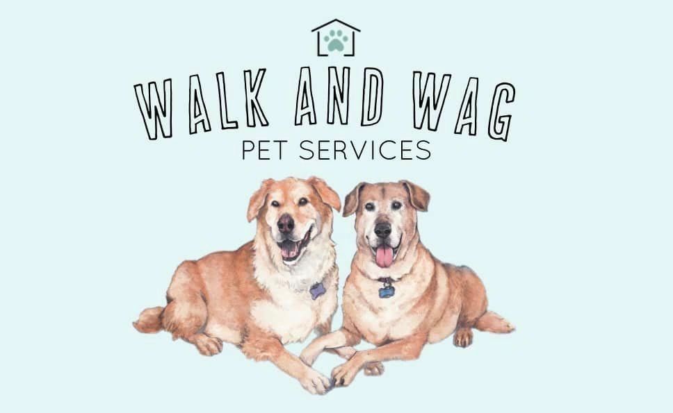 Contact Us About Dog Walking & Pet Care, Albany, NY