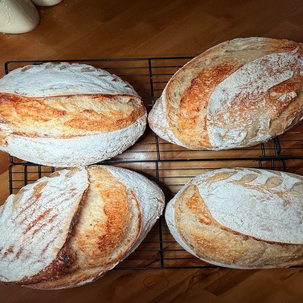 Four freshly baked artisan breads cooling on racks.
