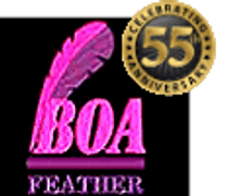 Boa Novelty Feather
