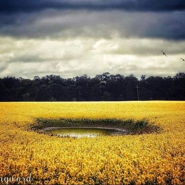 Photo by https://www.instagram.com/deb_hayward/?hl=en