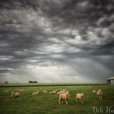 Photo by https://www.instagram.com/deb_hayward/?hl=en