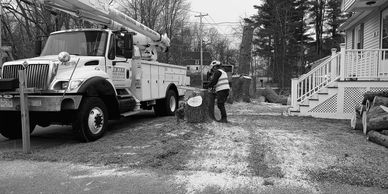 removedor de arboles 