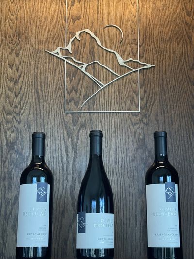 2026 allocation release image