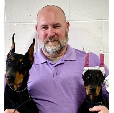 Man with two Doberman dogs, one with taped ears.