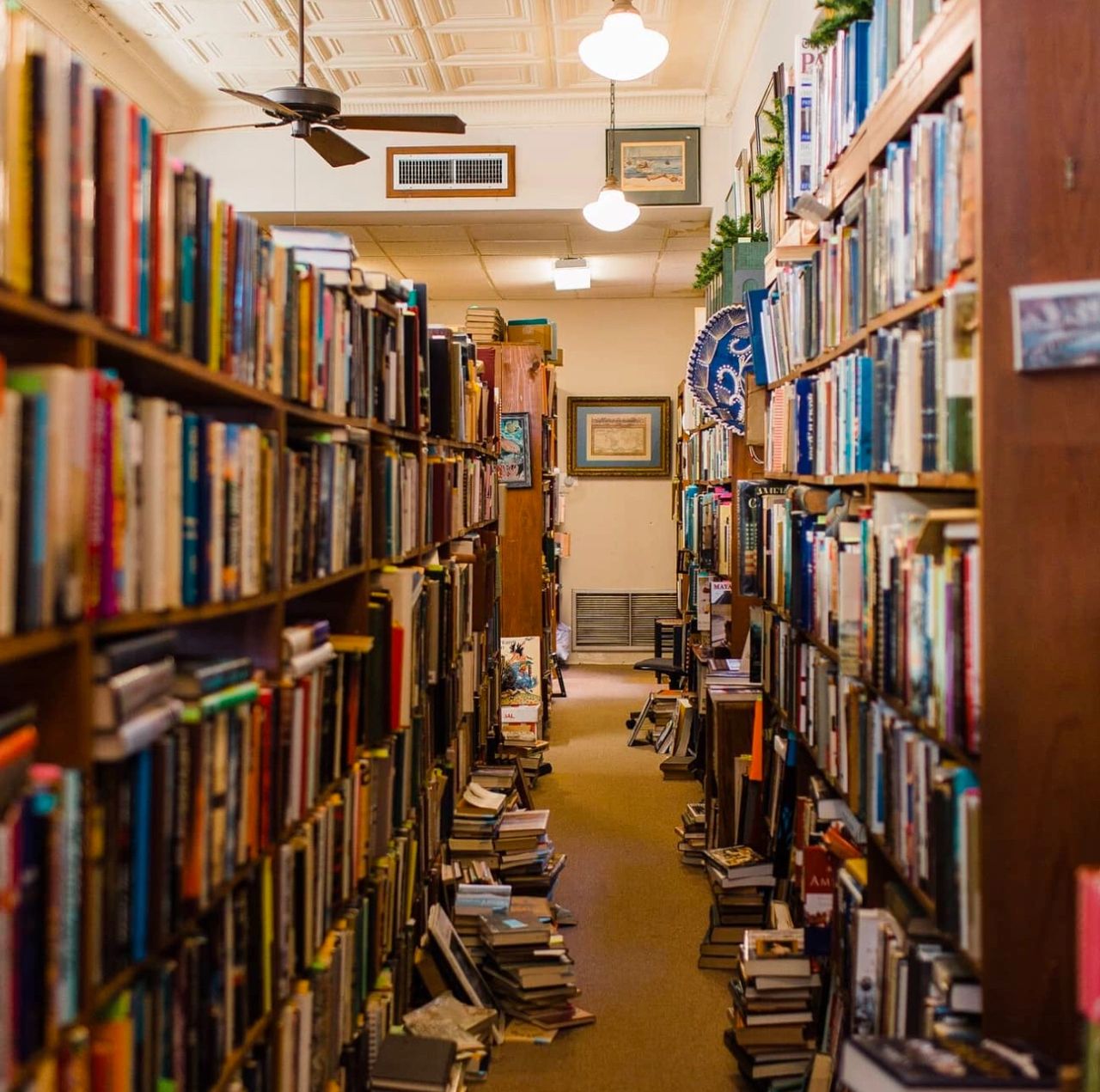 photo credit: The Muse Book Shop