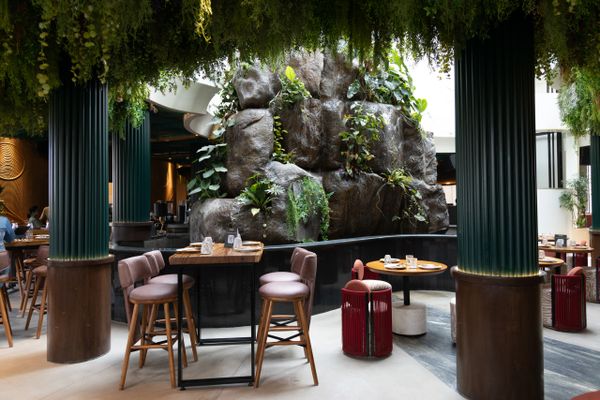 Modern indoor cafe with natural rock centerpiece and greenery.